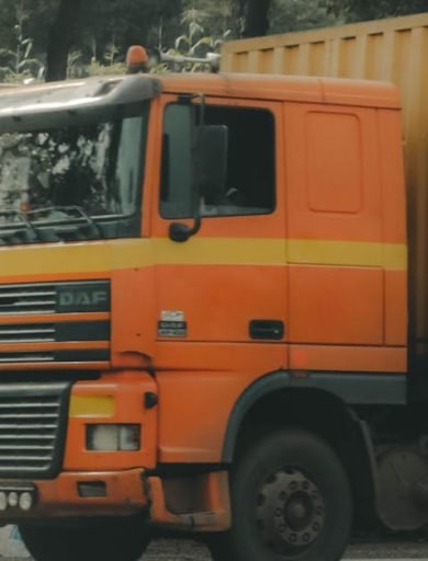 An orange semi truck driving on a tree-lined road, emphasizing the harmony of nature and transport.